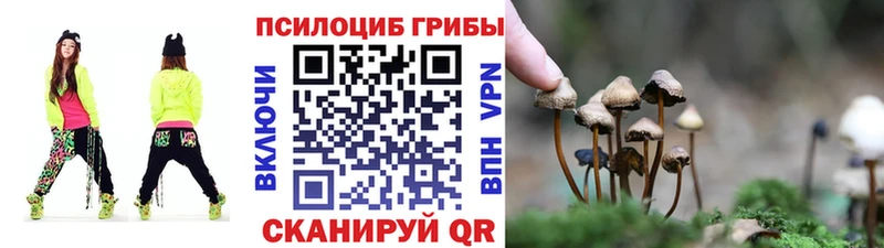 Галлюциногенные грибы мицелий  Дзержинск 