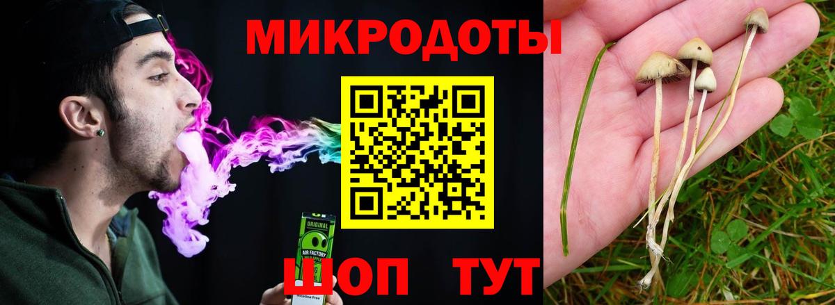 Галлюциногенные грибы MAGIC MUSHROOMS  хочу наркоту  Дзержинск 